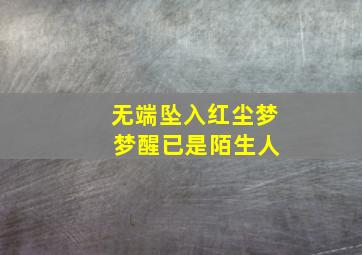 无端坠入红尘梦 梦醒已是陌生人